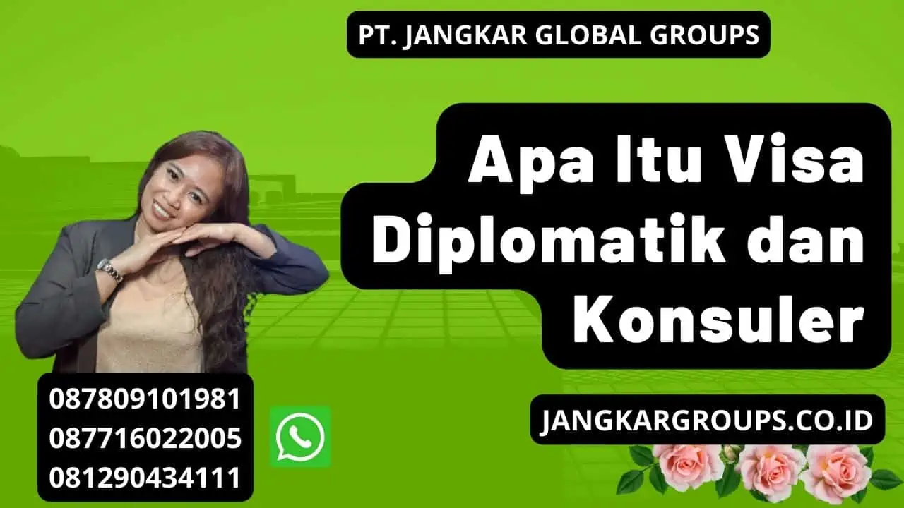 Apa Itu Visa Diplomatik dan Konsuler