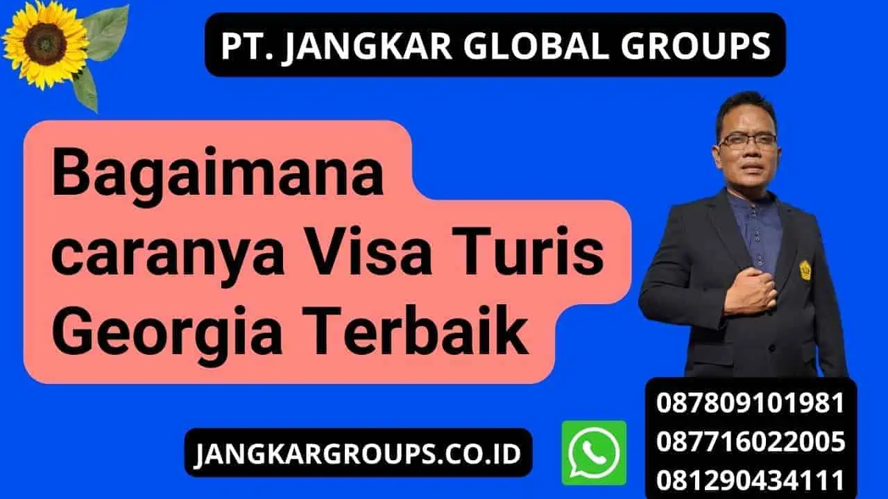 Bagaimana caranya Visa Turis Georgia Terbaik