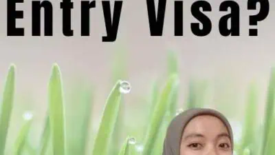 Apa Itu Multiple Entry Visa