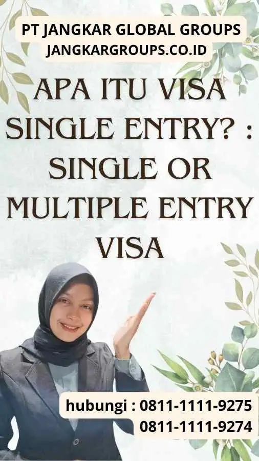 Apa Itu Visa Single Entry Single or Multiple Entry Visa