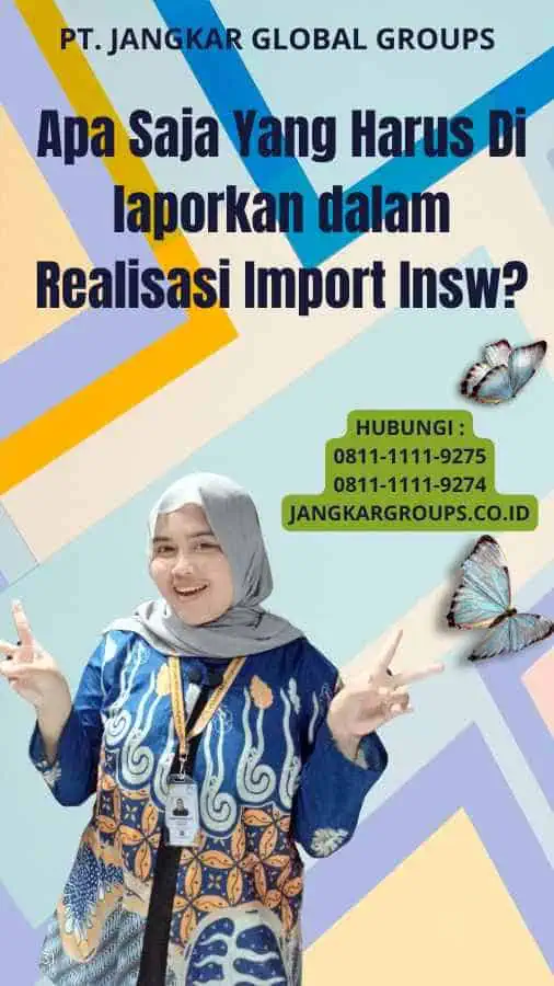 Apa Saja Yang Harus Di laporkan dalam Realisasi Import Insw?