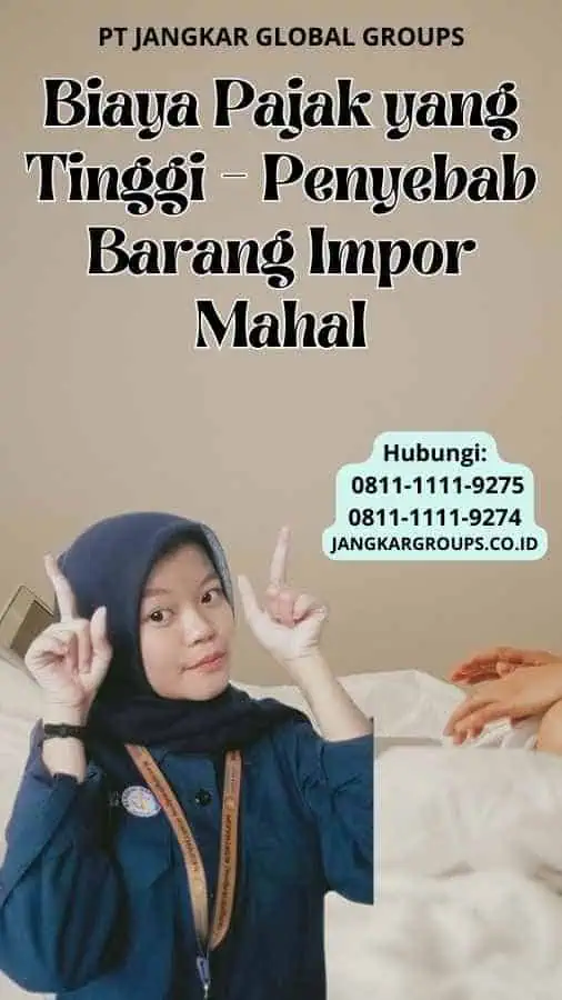 Biaya Pajak yang Tinggi Penyebab Barang Impor Mahal