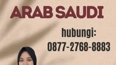 Cara Cek Visa Online Arab Saudi