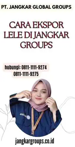 Cara Ekspor Lele di Jangkar Groups