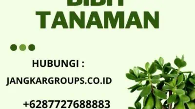 Cara Impor Bibit Tanaman