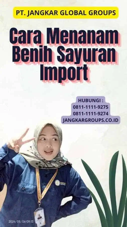 Cara Menanam Benih Sayuran Import