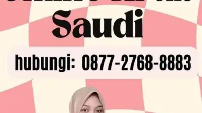 Cek Visa Online Arab Saudi