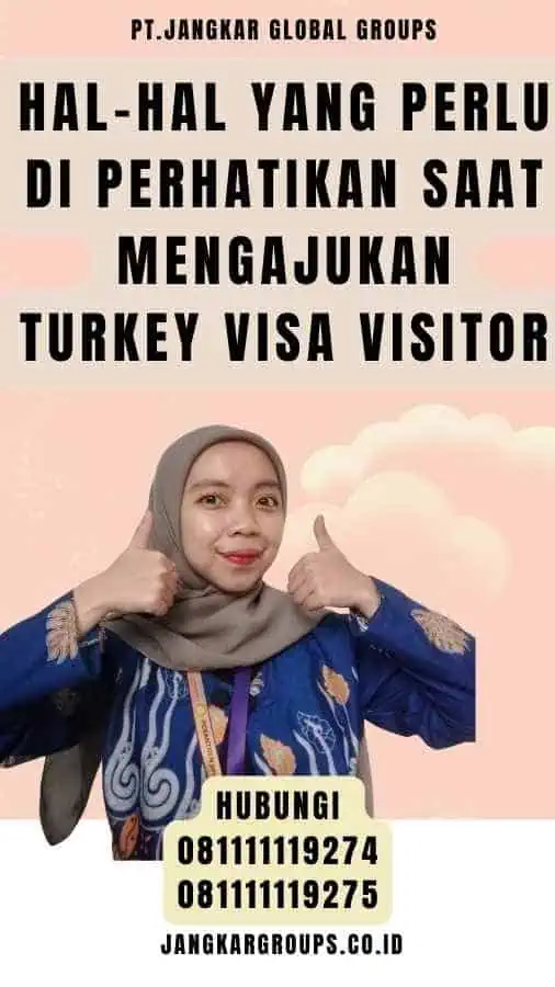 Hal-hal yang Perlu Di perhatikan Saat Mengajukan Turkey Visa Visitor