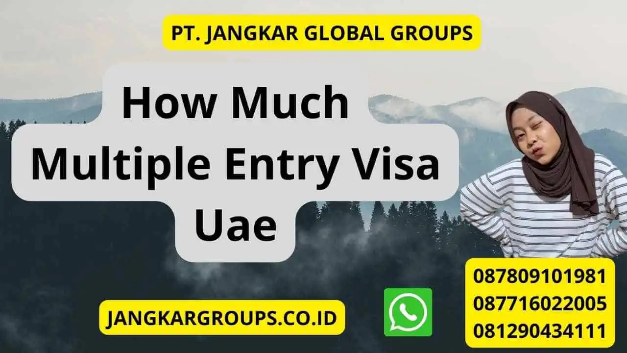 How Much Multiple Entry Visa Uae