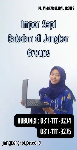 Impor Sapi Bakalan di Jangkar Groups