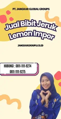 Jual Bibit Jeruk Lemon Impor