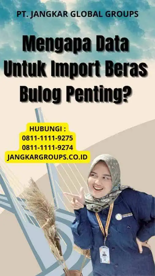 Mengapa Data Untuk Import Beras Bulog Penting?