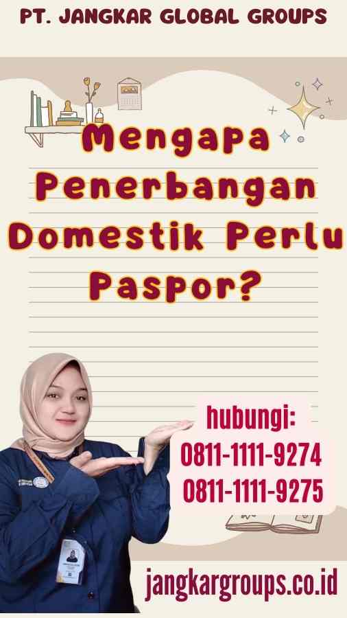 Mengapa Penerbangan Domestik Perlu Paspor