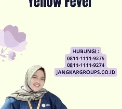 Vaksin Meningitis Dan Yellow Fever