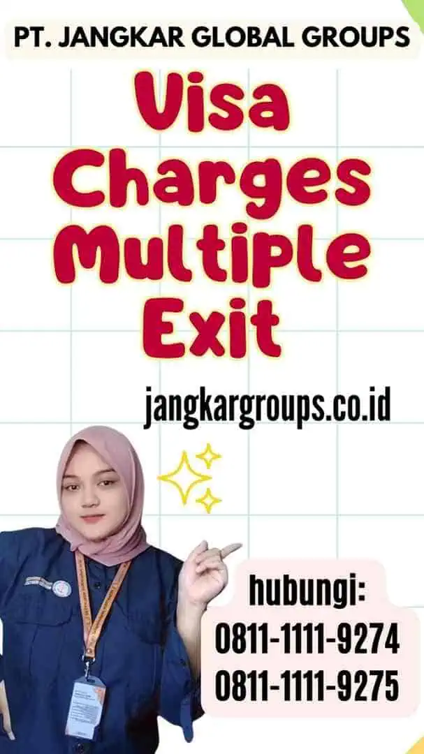 Visa Charges Multiple Exit