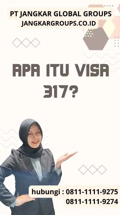 Apa itu Visa 317