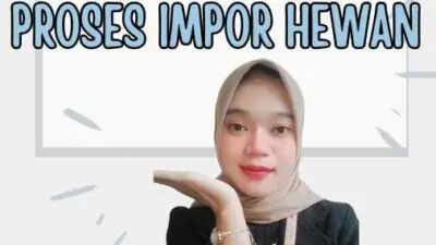 Biaya Impor Hewan Memahami Biaya dan Proses Impor Hewan