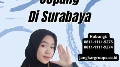 Biro Jasa Dari Pengurusan Visa Jepang Di Surabaya