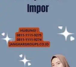 Cara Lapor Pajak Impor