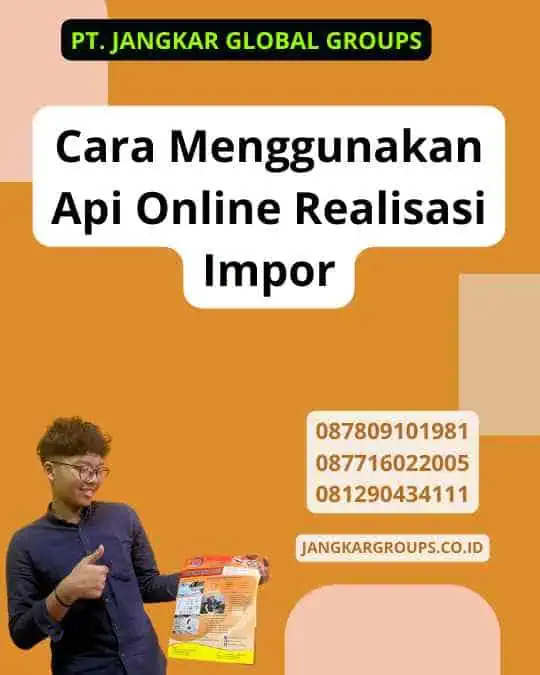 Cara Menggunakan Api Online Realisasi Impor