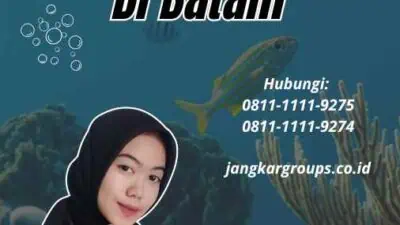 Cara Mengurus Paspor Online Di Batam