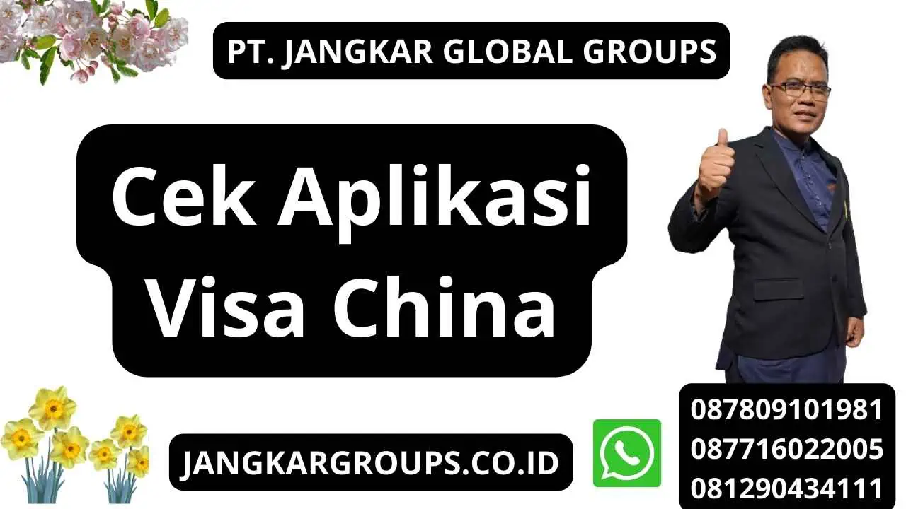 Cek Aplikasi Visa China