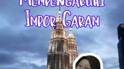 Faktor Yang Mempengaruhi Impor Garam