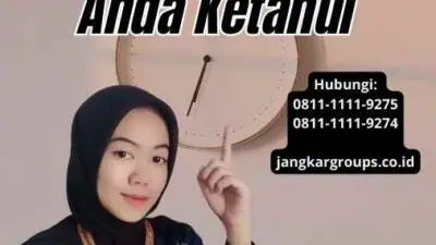 Izin Impor B2 Semua yang Perlu Anda Ketahui