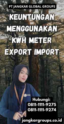 Keuntungan Menggunakan Kwh Meter Export Import