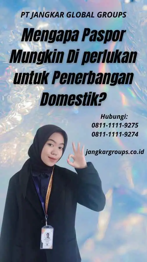 Mengapa Paspor Mungkin Di perlukan untuk Penerbangan Domestik