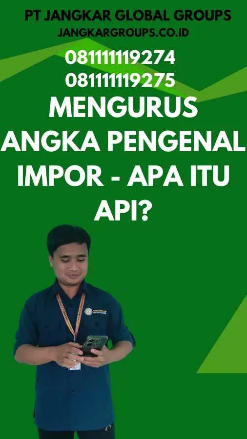 Mengurus Angka Pengenal Impor - Apa Itu API?