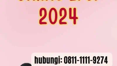 Pasport Online Eror 2024