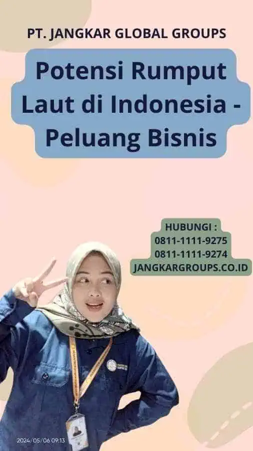 Potensi Rumput Laut di Indonesia - Peluang Bisnis