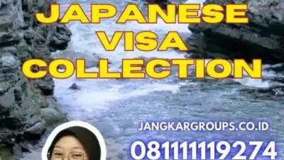 Power of Attorney for Japanese Visa Collection