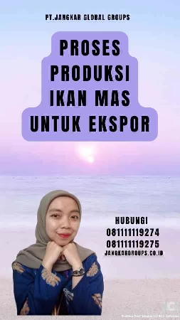 Proses Produksi Ikan Mas untuk Ekspor