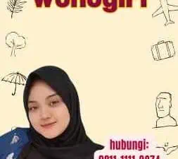 SKCK Online Wonogiri