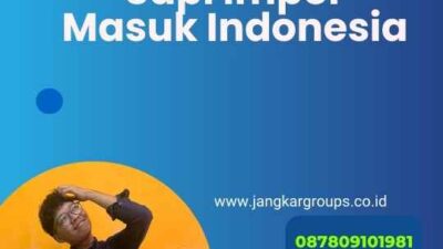 Sapi Impor Masuk Indonesia