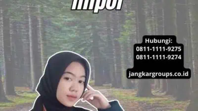 Syarat Pengurusan Angka Pengenal Impor