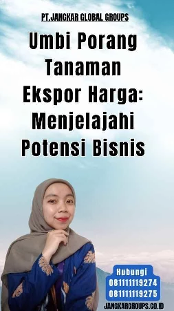 Umbi Porang Tanaman Ekspor Harga Menjelajahi Potensi Bisnis