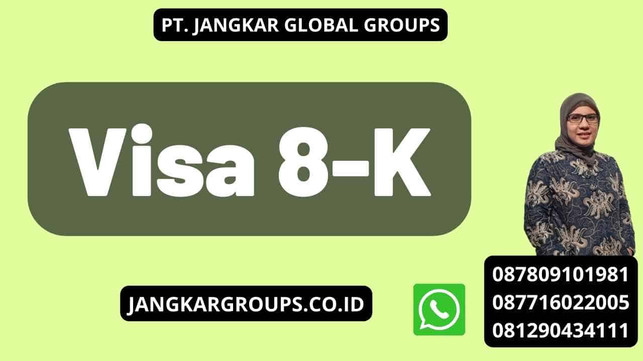 Visa 8-K