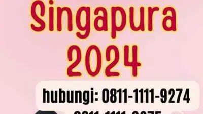 Warna Paspor Singapura 2024