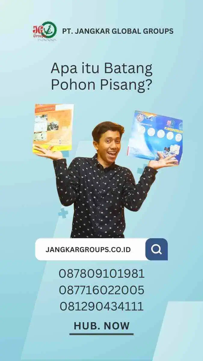 Ekspor Batang Pohon Pisang: Peluang Bisnis yang Menjanjikan