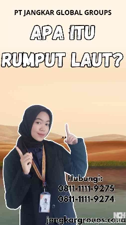 Apa itu Rumput Laut