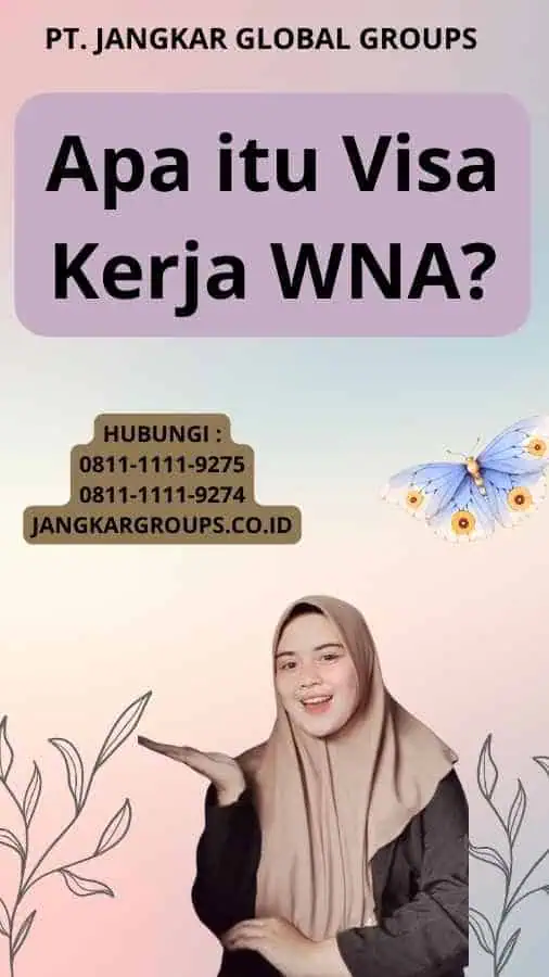 Apa itu Visa Kerja WNA?