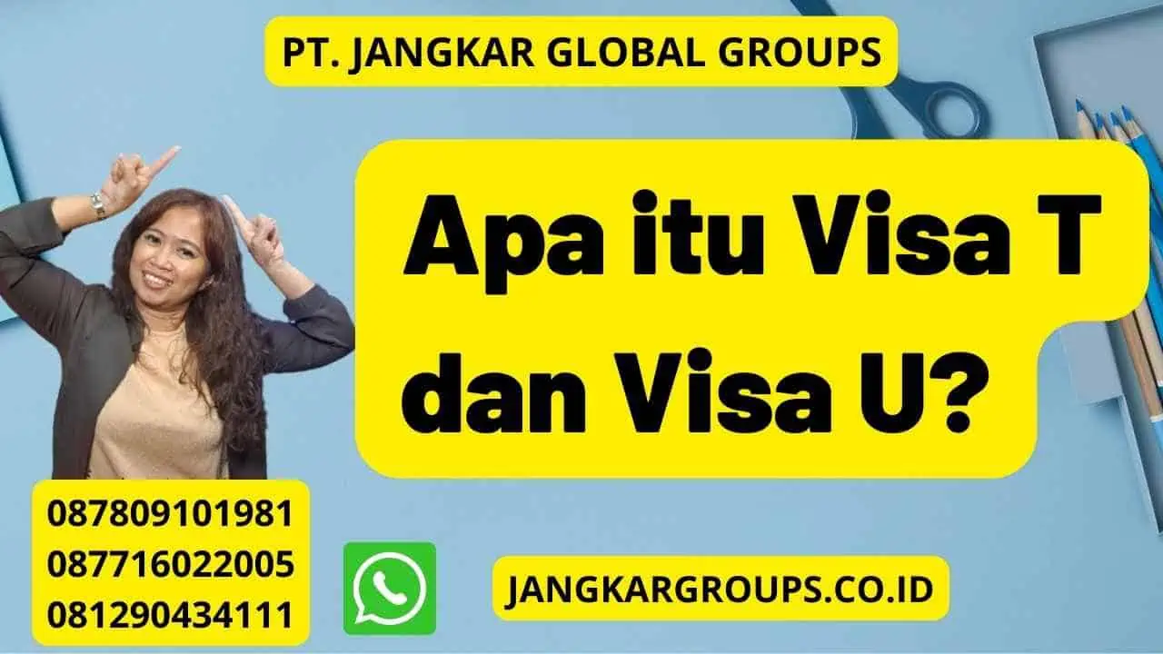 Apa itu Visa T dan Visa U?