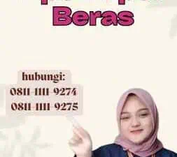 Bps Impor Beras