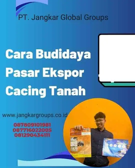 Cara Budidaya Pasar Ekspor Cacing Tanah