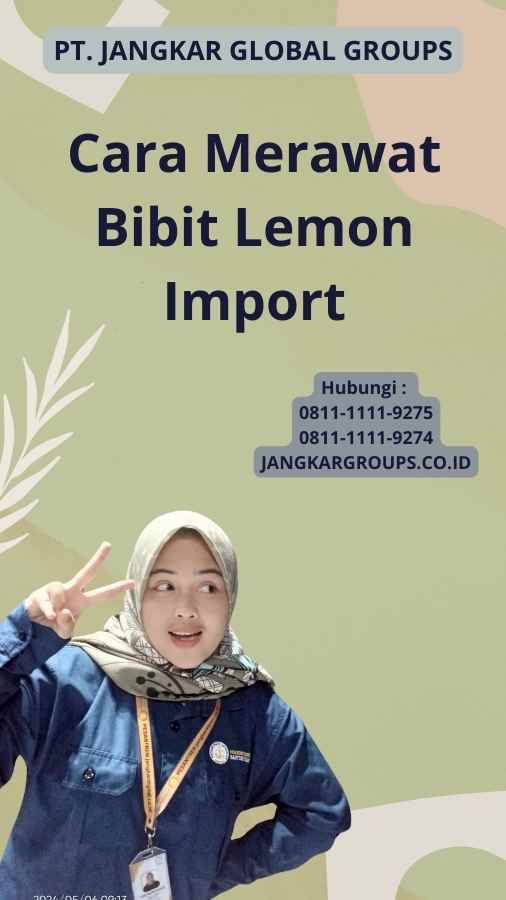 Cara Merawat Bibit Lemon Import