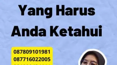 Impor Kertas Dari China: Apa Yang Harus Anda Ketahui