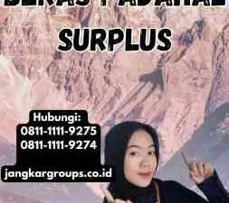 Indonesia Impor Beras Padahal Surplus